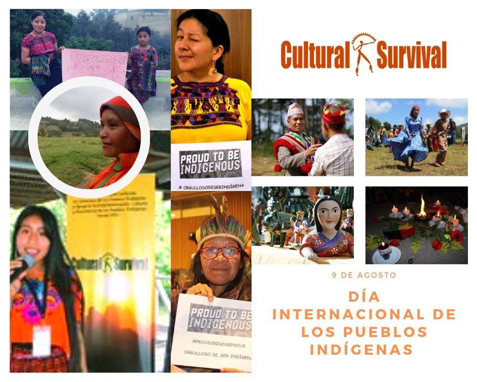 Día Internacional De Los Pueblos Indígenas Cultural Survival